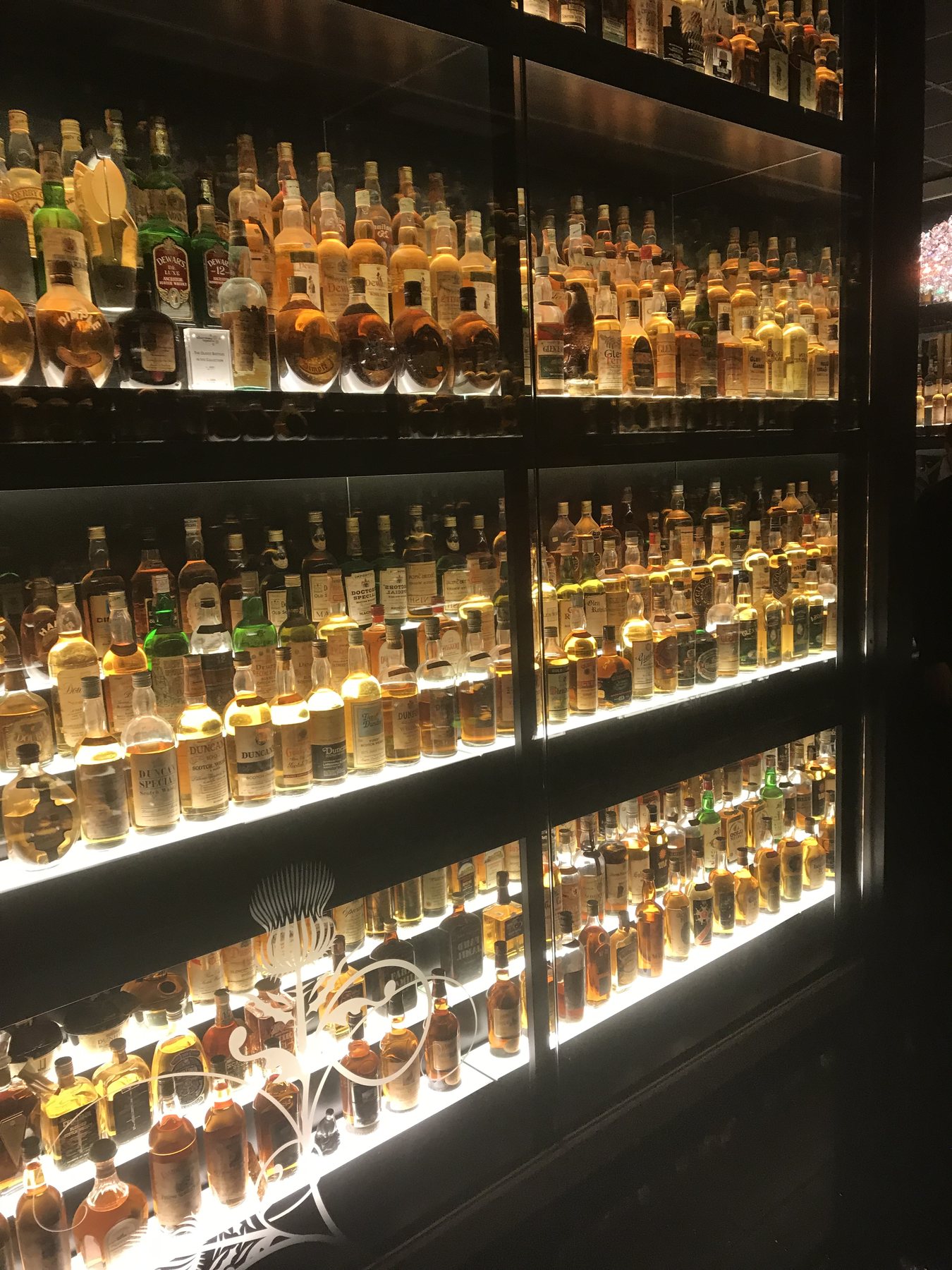 Rows of illuminated Scotch whisky bottles displayed behind glass