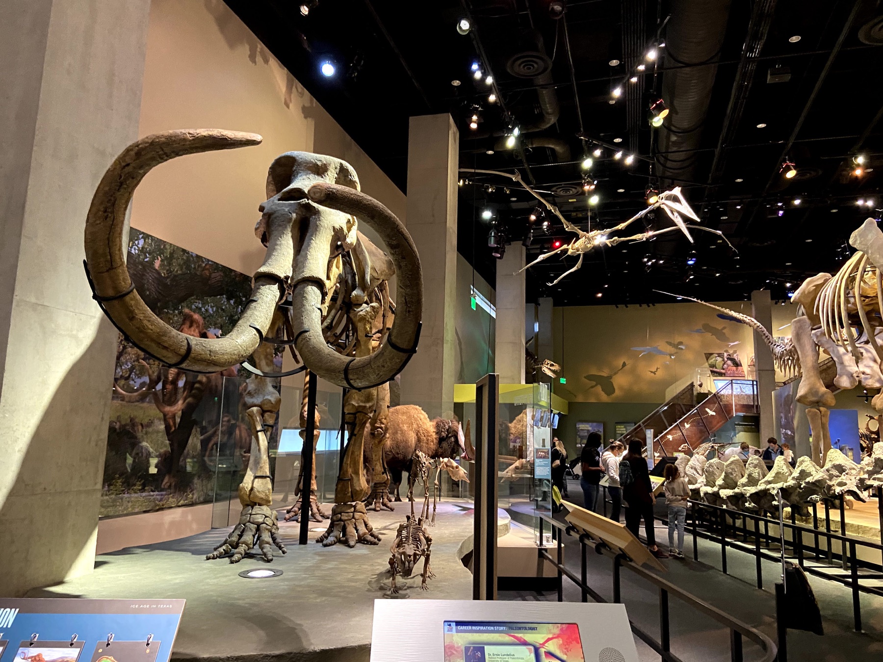 Mammoth and flying-reptile skeletons displayed inside the Perot Museum of Nature and Science