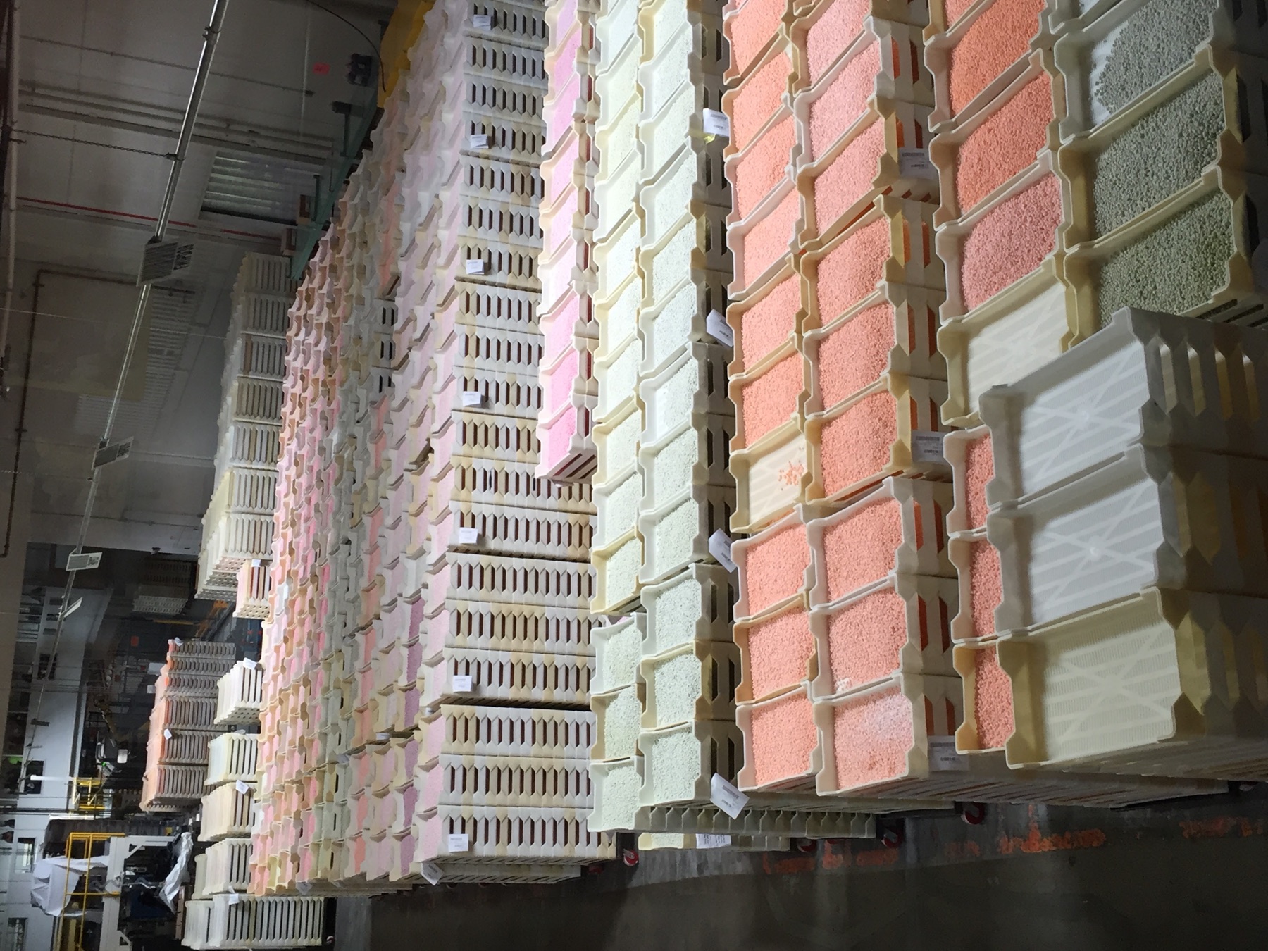 Rows of trays filled with jellybeans in the Jelly Belly production facility