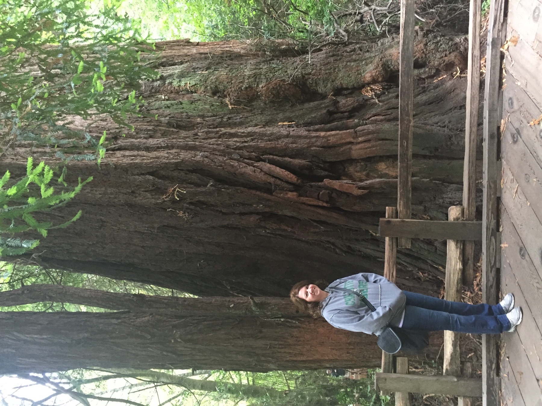Angela standing beside a giant redwood tree in Muir Woods