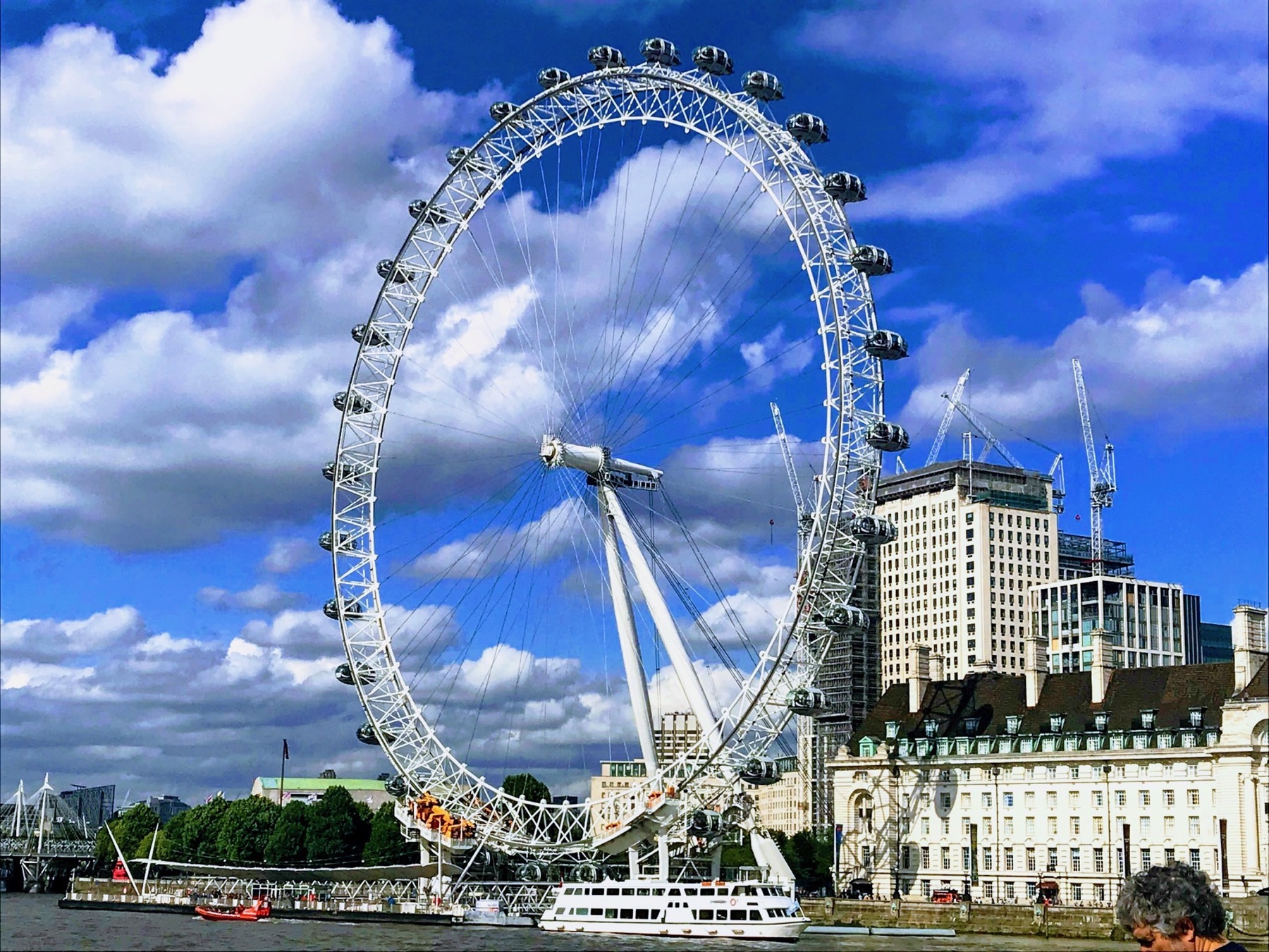 The London Eye rising above the trees on the South Bank beneath a blue sky