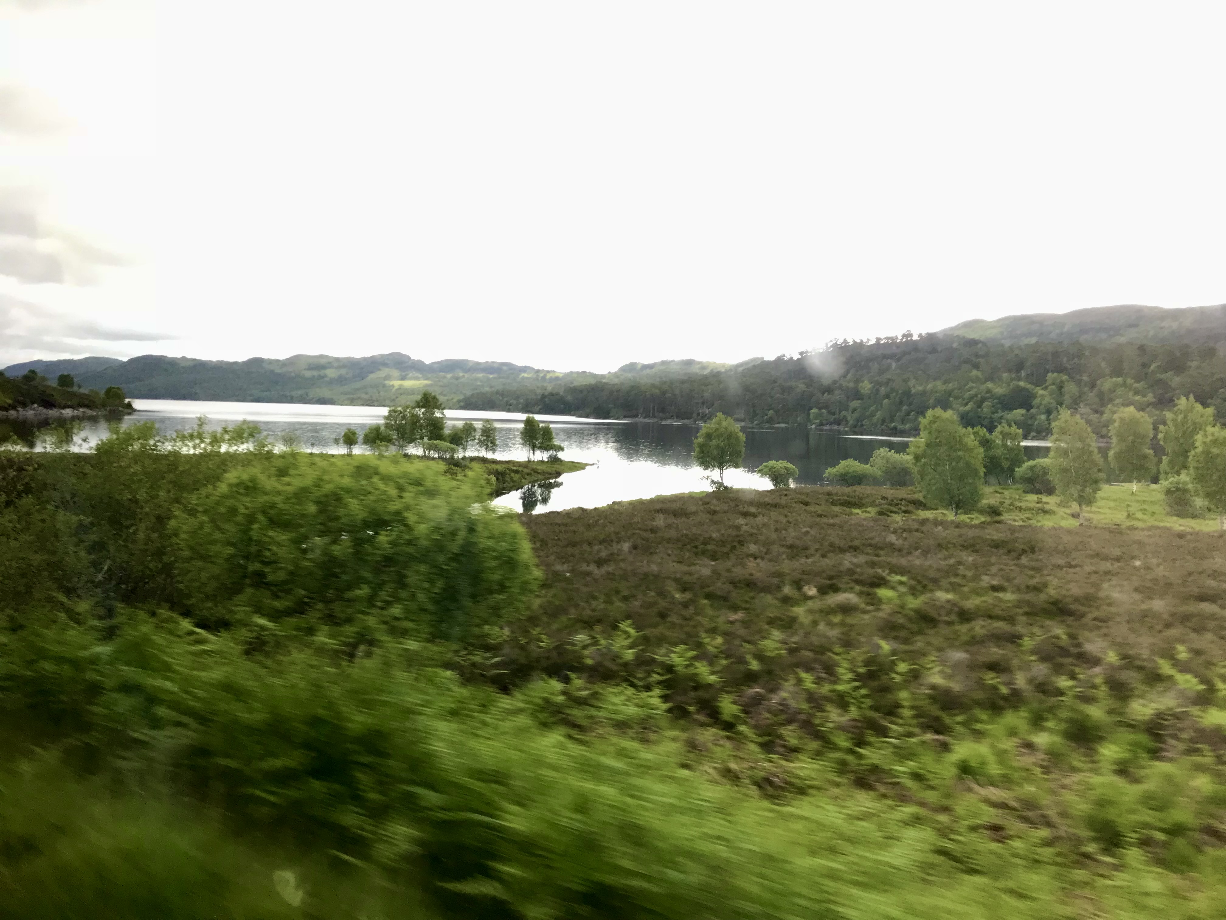 A wooded Scottish hillside overlooking the water at Glen Affric Viewpoint