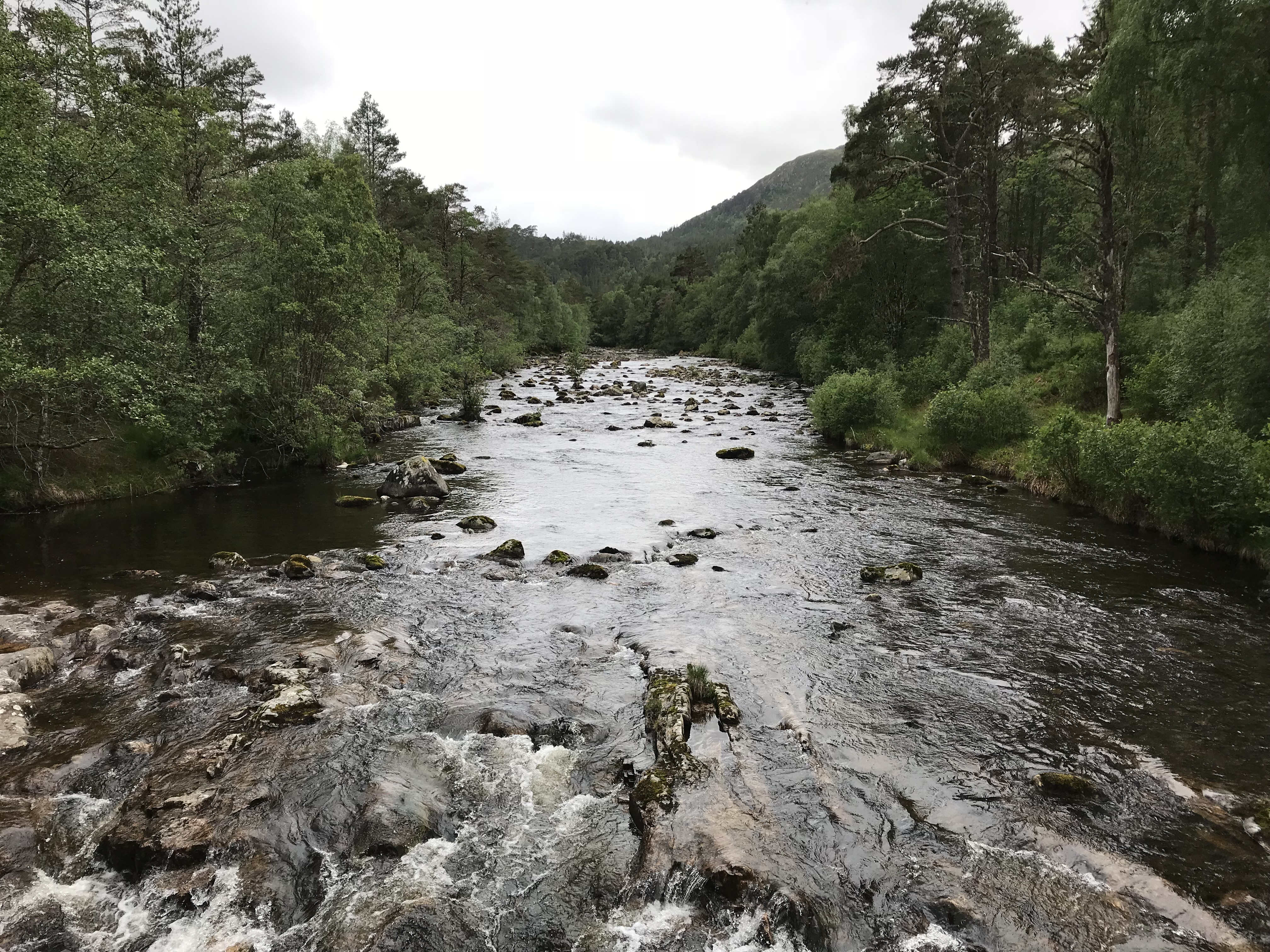 Water rushing over rocks at Dog Falls in the Scottish Highlands