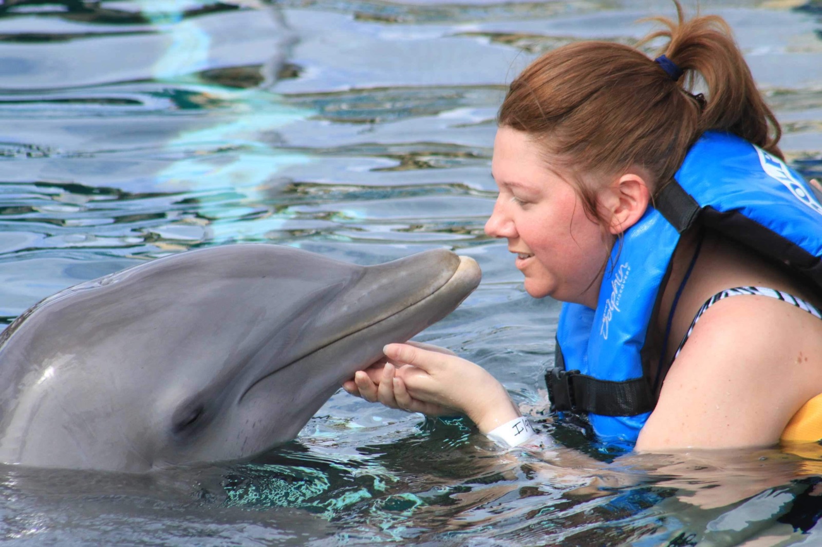 Angela in the water touching a dolphin during the family's Cozumel experience