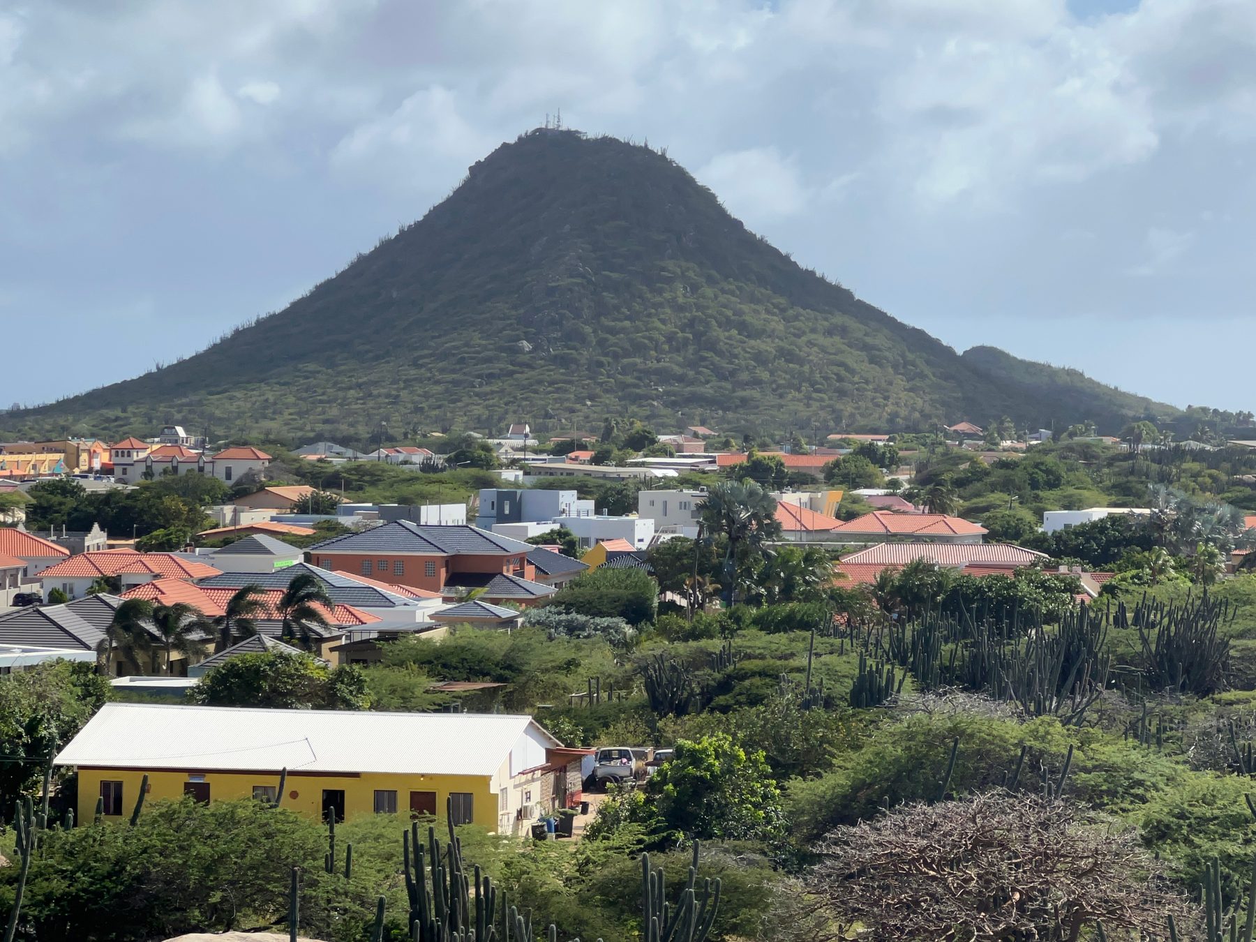 Cactus-covered hillside in Aruba's dry interior viewed from a tour vehicle