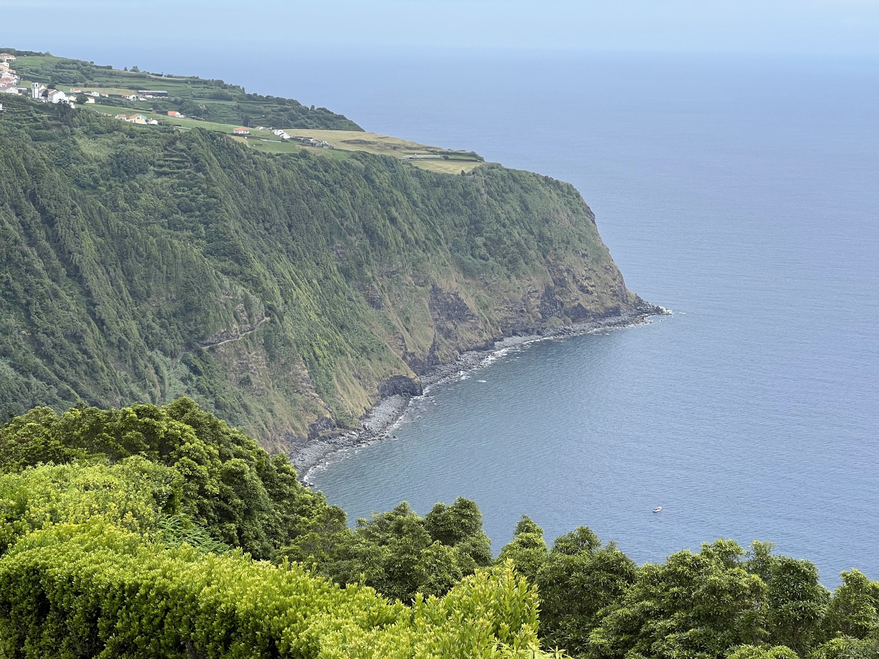Steep green cliff dropping into the Atlantic along São Miguel’s north coast