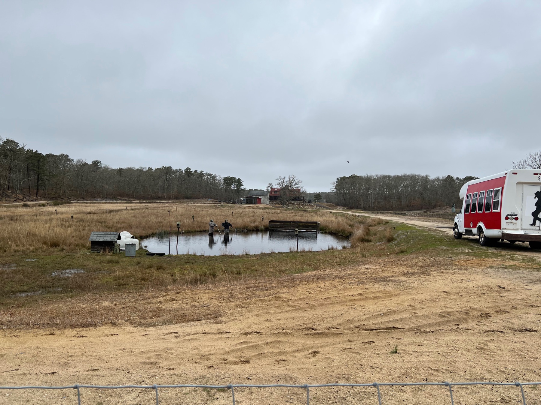 Cranberry bog in Harwich during the off-season, with a small pond and tour bus nearby