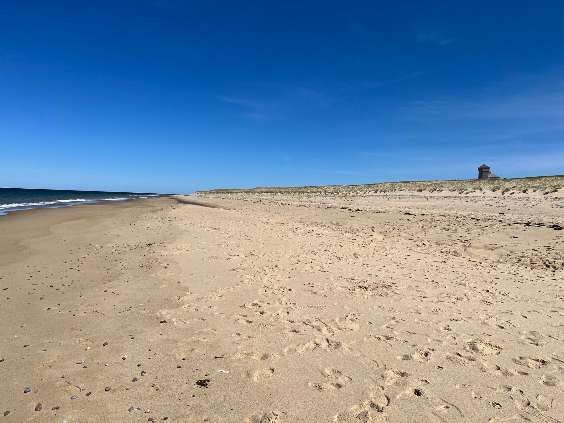Wide sandy shoreline and blue water at Race Point Beach under a clear spring sky
