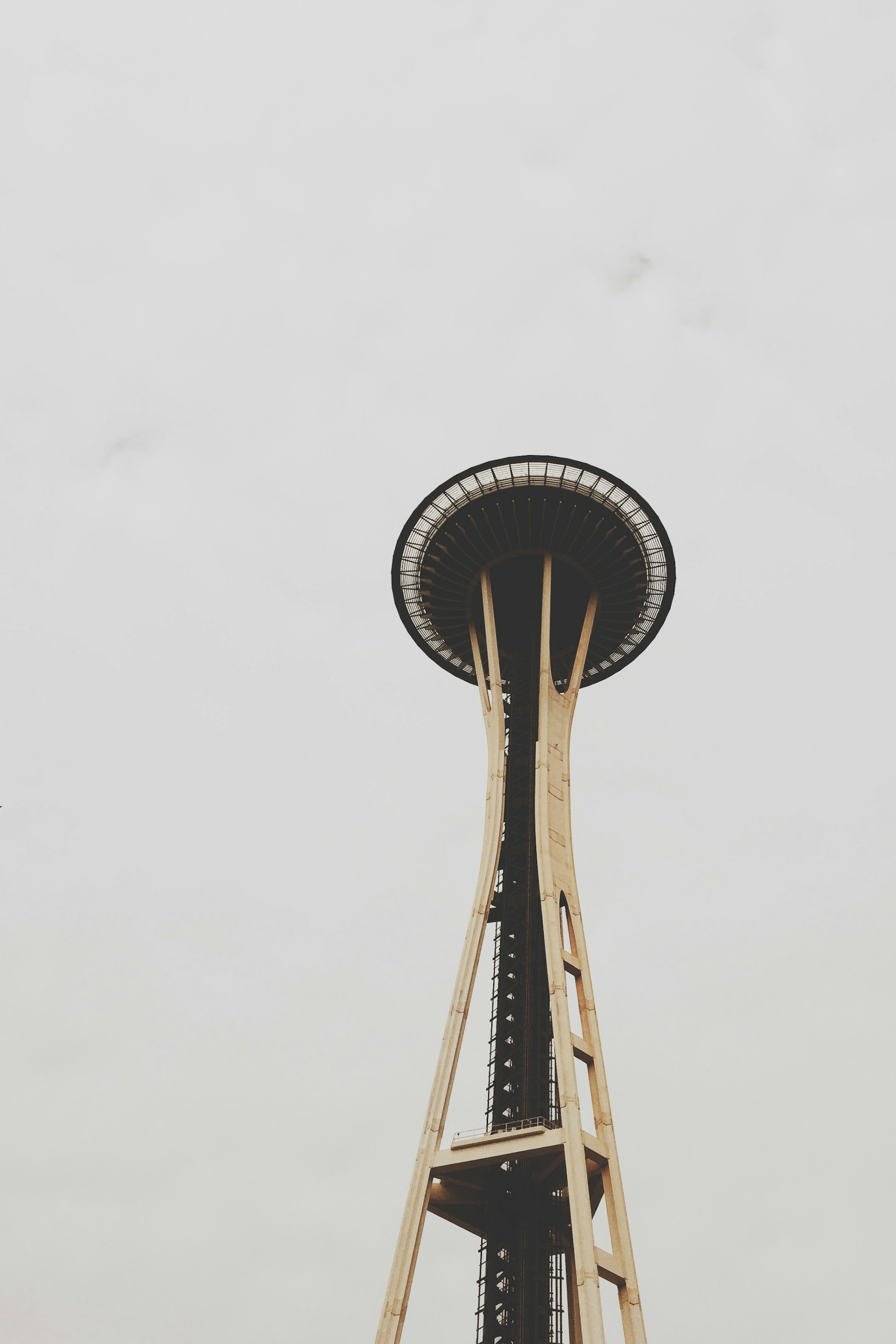 The Space Needle rising above trees in Seattle