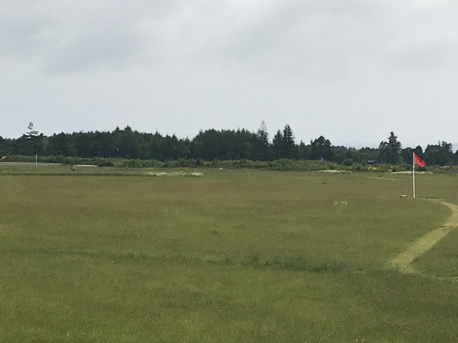 Open moorland at Culloden Battlefield with a red position flag beneath an overcast sky