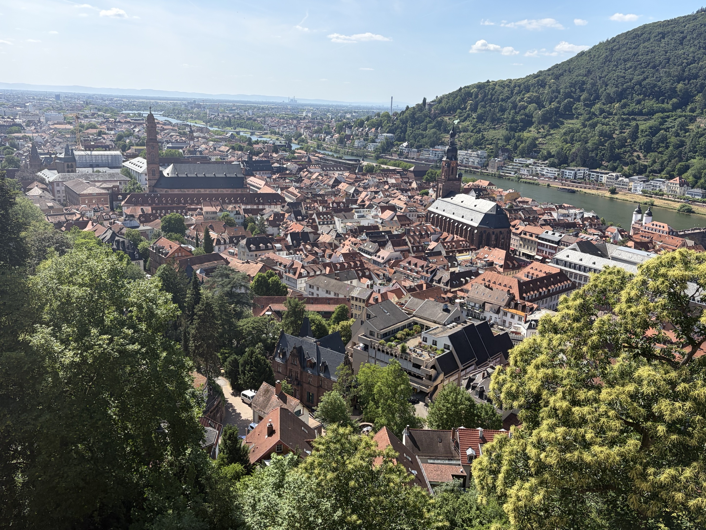 Heidelberg's Old Town and the Neckar River, viewed from the castle hillside