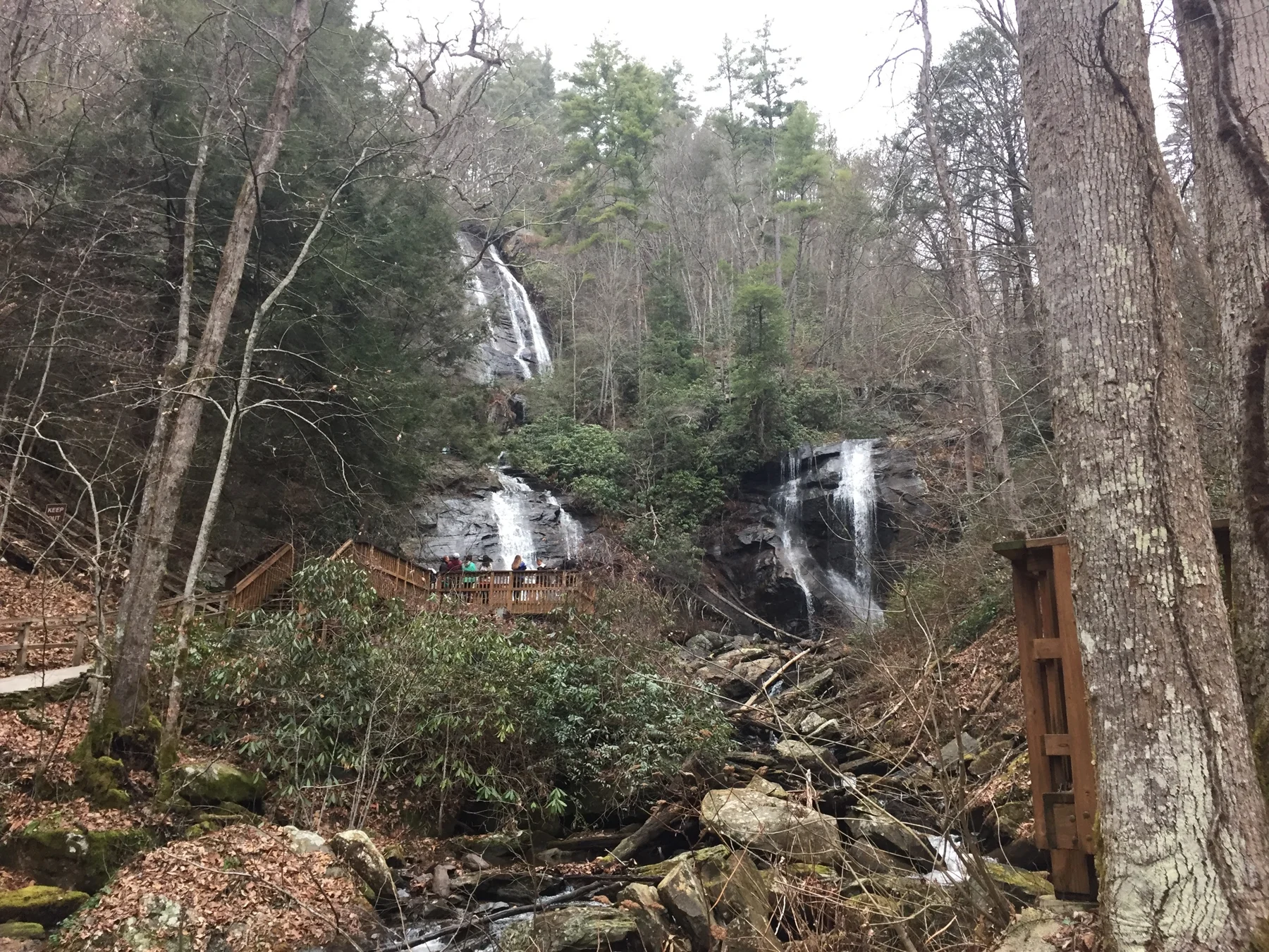 The twin cascades at Anna Ruby Falls surrounded by bare branches and evergreen shrubs