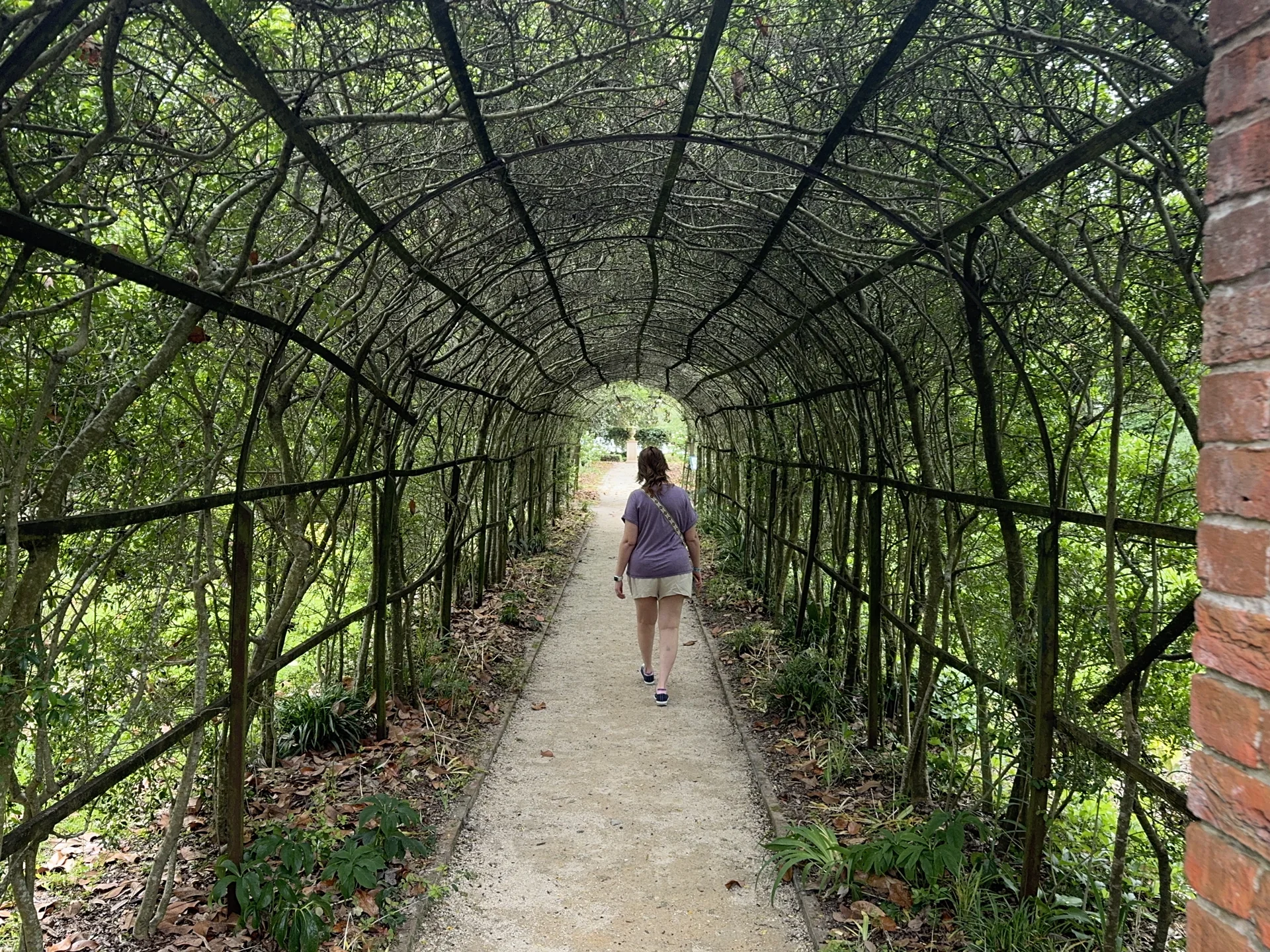 A leafy arched garden passage with a gravel path at Tryon Palace