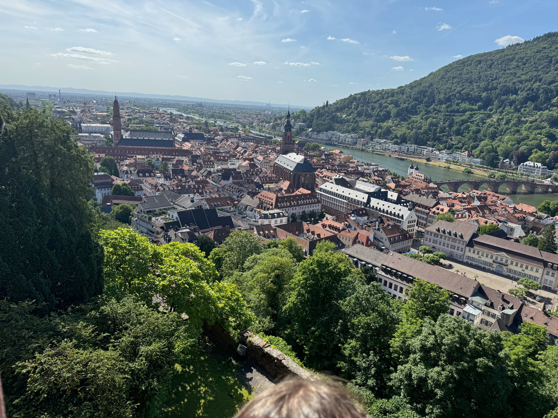 Heidelberg’s red-roofed old town, churches, Old Bridge, and Neckar River viewed from the castle hillside