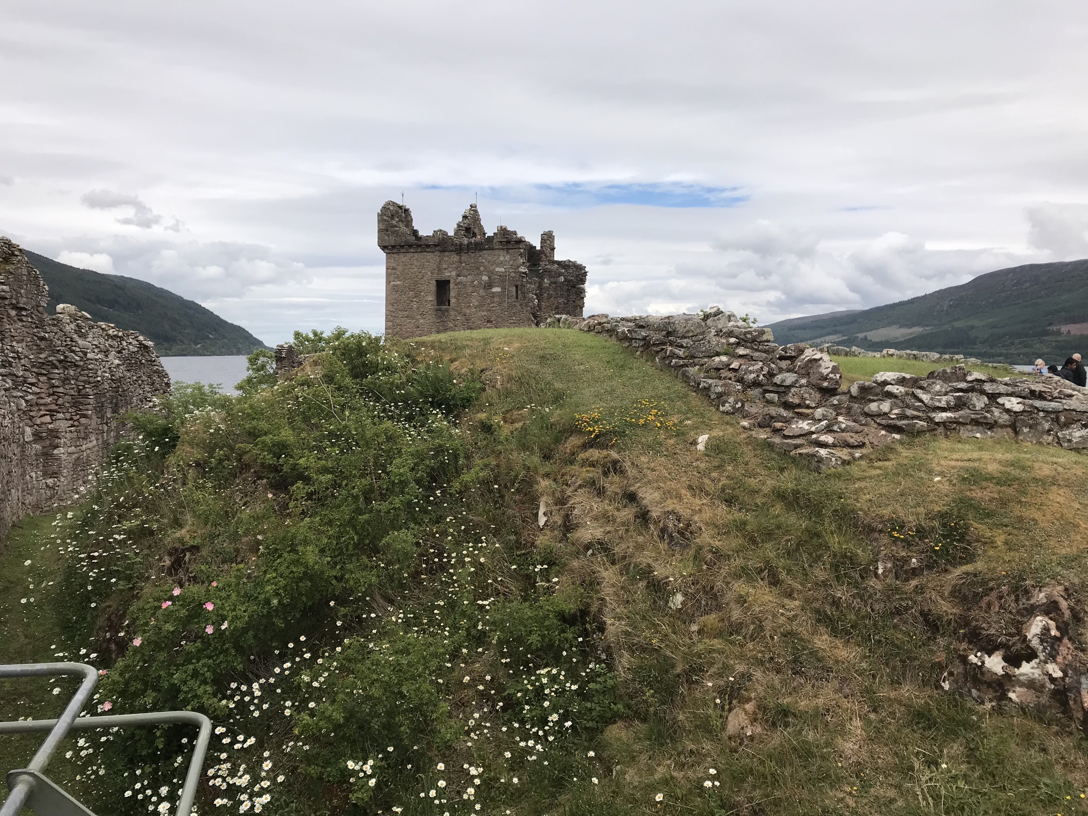 A ruined stone tower surrounded by grasses and wildflowers at Urquhart Castle