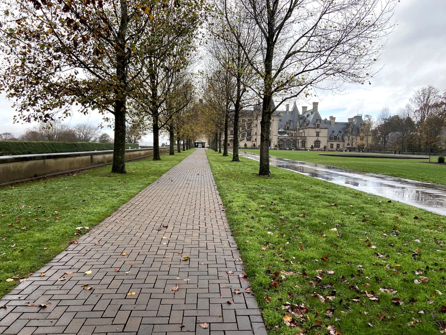 A brick walkway and trees beside the lawn leading toward Biltmore House
