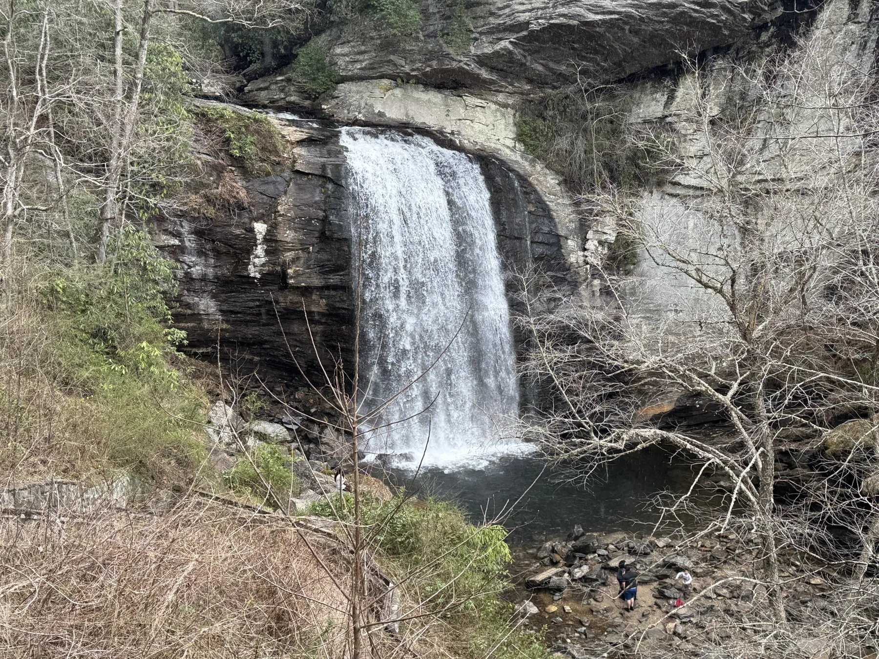 Looking Glass Falls dropping over a broad rock ledge into the pool below